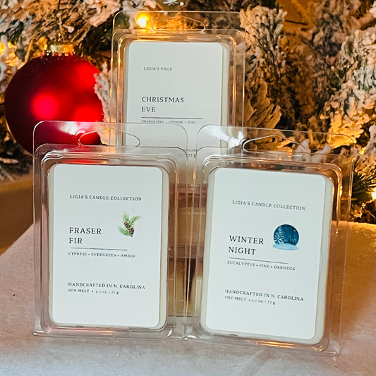 Gift Set of Wax Melts 4-pack Winter Scented